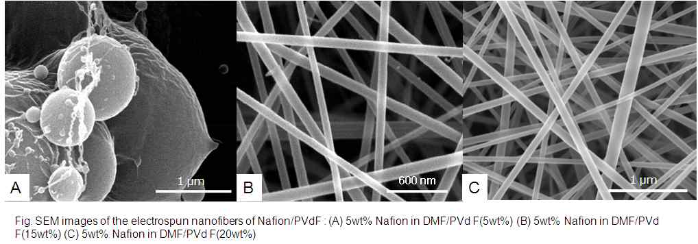 PVdF와 혼합된 Nafion 복합체 나노 섬유의 SEM 사진