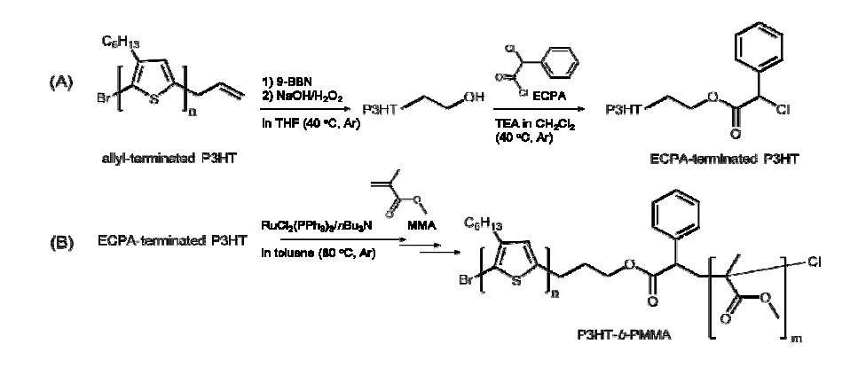 공액 폴리(3-헥실 티오펜) 고분자(A) 및 블록공중합체(B) 합성 모식도