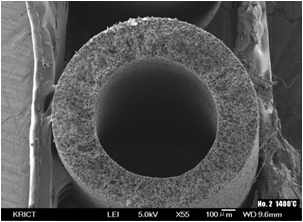 PVDF 중공사막의 SEM 사진