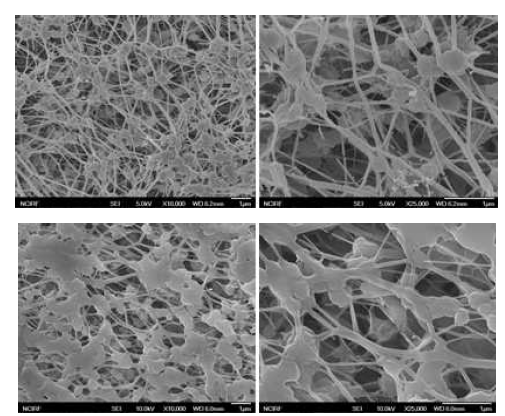 순수한 PTFE 분리막(위)과H2O2/H2SO4로 처리한 PTFE 분리막(아래)의 FE-SEM 사진