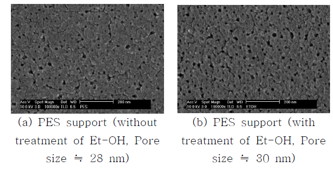 친수화 처리에 따른 PES 지지체 표면의 SEM 사진