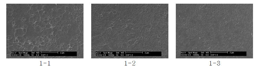 반응 시간에 따른 D1 복합막 표면의 SEM 사진