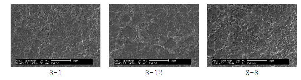 PTC 농도에 따른 D1 복합막 표면의 SEM 사진