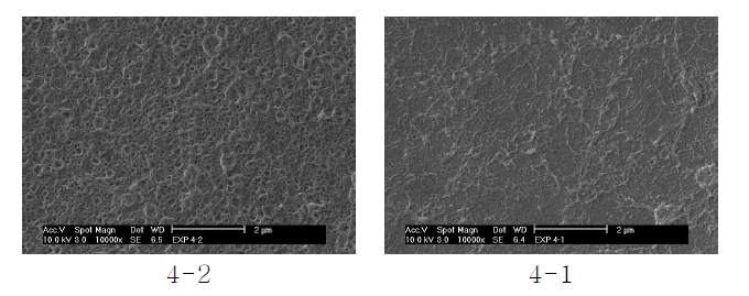 Glycerol 농도에 따른 D1 복합막 표면의 SEM 사진