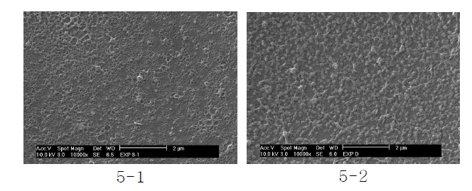 Ammonium salt 첨가에 따른 D1 복합막 표면의 SEM 사진