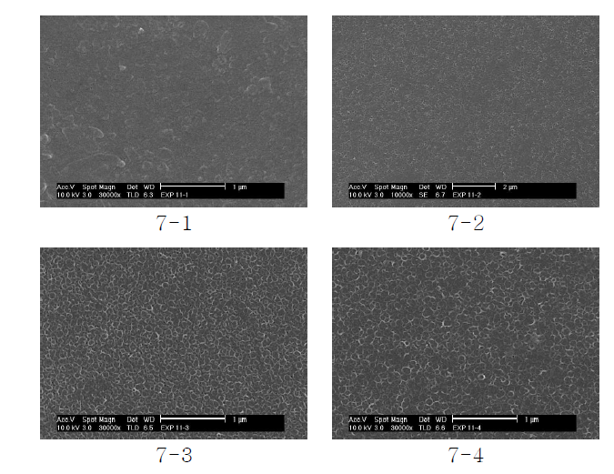 Diol의 종류에 따른 복합막 표면의 SEM 사진