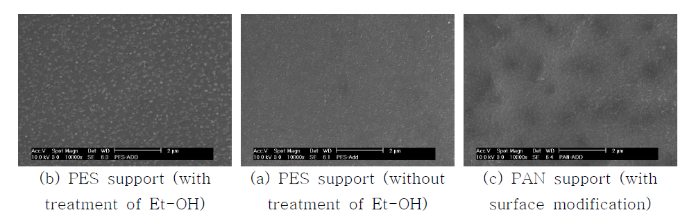 Ammonium salt 첨가시 D1 복합막 표면의 SEM 사진