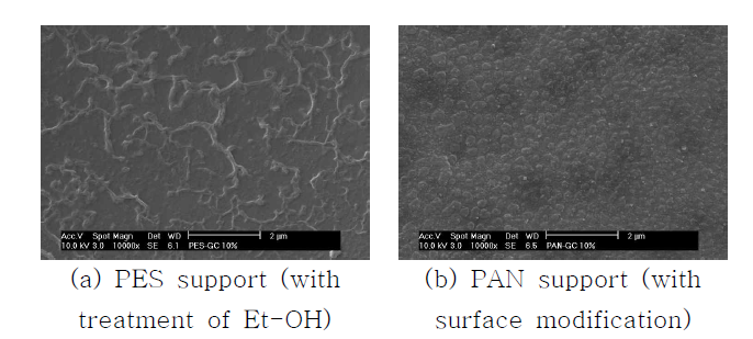 Ammonium salt와 glycerol 첨가시 D1 복합막 표면의 SEM 사진