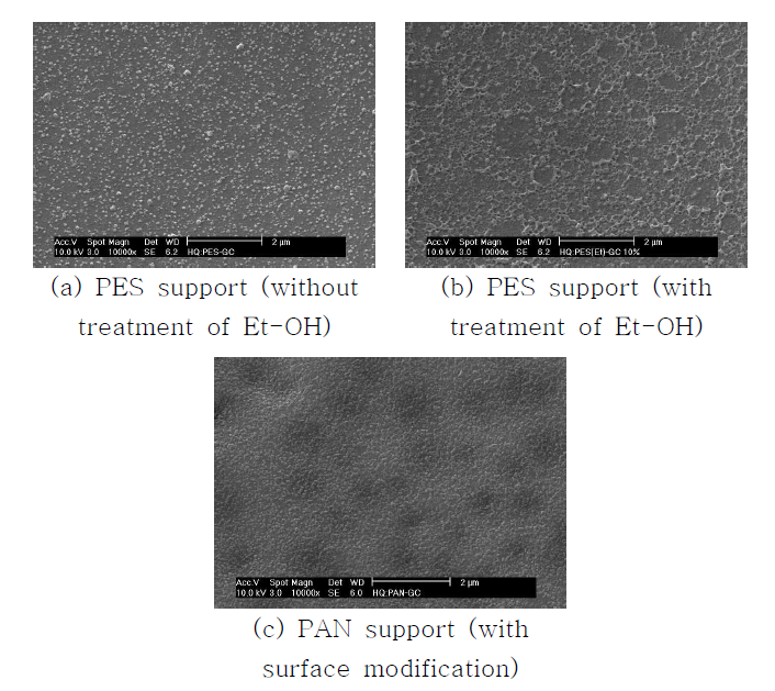 Ammonium salt와 glycerol 첨가시 D2 복합막 표면의 SEM 사진