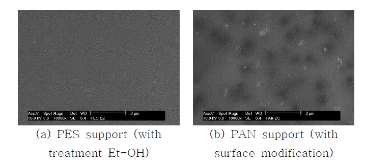 유기용액에 cosolvent 사용시 D1 복합막 표면의 SEM 사진