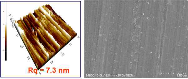 광택 있는 면의 표면 거칠기 분석을 위한 AFM 이미지(좌)와 이 표면의 표면형상을 보여주는 FE-SEM 이미지(우)