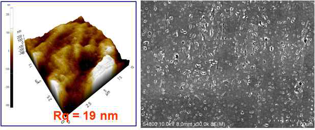 광택 없는 면에서 얻은 AFM 이미지(좌)와 FE-SEM 이미지(우)