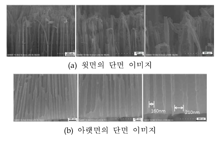 일단계법으로 0.3M 옥살산에서 140V를 인가하여 양극산화한 Al composite 시편의 단면 이미지