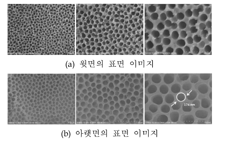 일단계법으로 0.3M 옥살산에서 140V를 인가하여 양극산화한 Al composite 시편의 표면 이미지