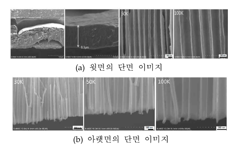 이단계법으로 0.1M 옥살산에서 140V를 인가하여 양극산화한 Al composite 시편의 단면 이미지