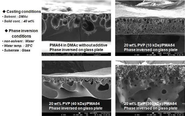 PVP의 분자량에 따른 비대칭 사다리형 폴리실세스퀴옥산 분리막의 단면 사진