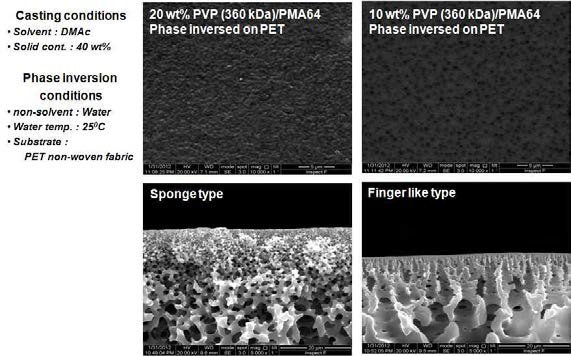 PVP (360000 Da)의 함량에 따른 비대칭 사다리형 폴리실세스퀴옥산 분리막의 단면 사진
