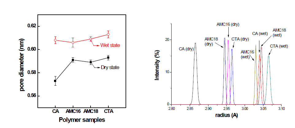 PALS를 이용한 고분자 필름의 기공 크기 및 분포 분석