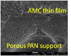 TFC 형태의 AMC 복합막의 모폴로지