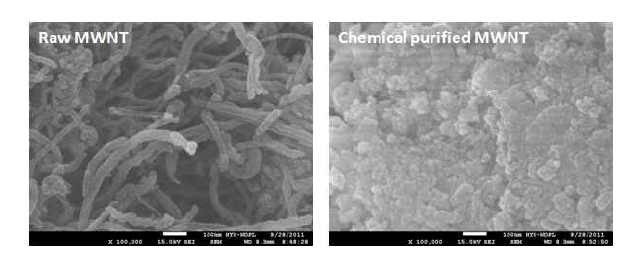 산처리를 통하여 정제된 MWNT 모폴로지 변화