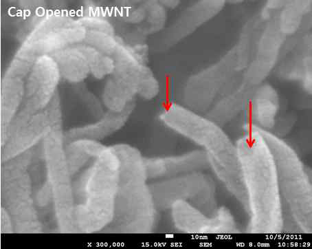 정제 및 말단 개봉된 MWNT의 SEM 분석