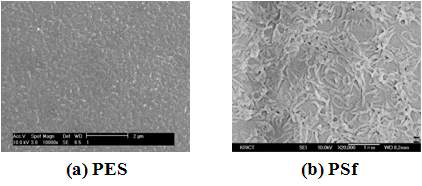 지지체 종류에 따른 Polymer 1 복합막 표면의 SEM 사진