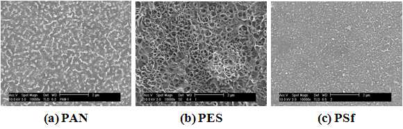 지지체 종류에 따른 Polymer 2 복합막 표면의 SEM 사진