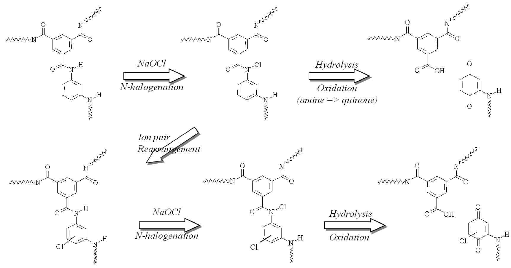 Mechanism of degradation of polyamide RO membrane by aqueous chlorine