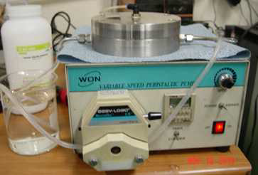 Chlorine-exposure test apparatus