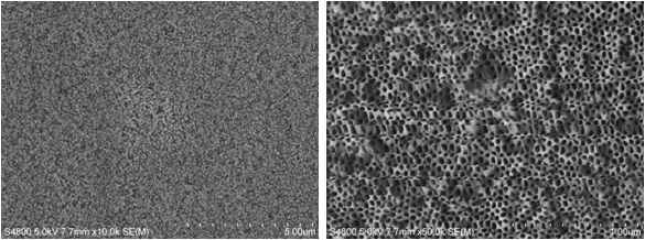 0.3M Oxalic acid 20V FE-SEM Surface image