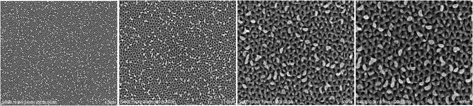 0.3M Sulfuric acid 20V Bottom image