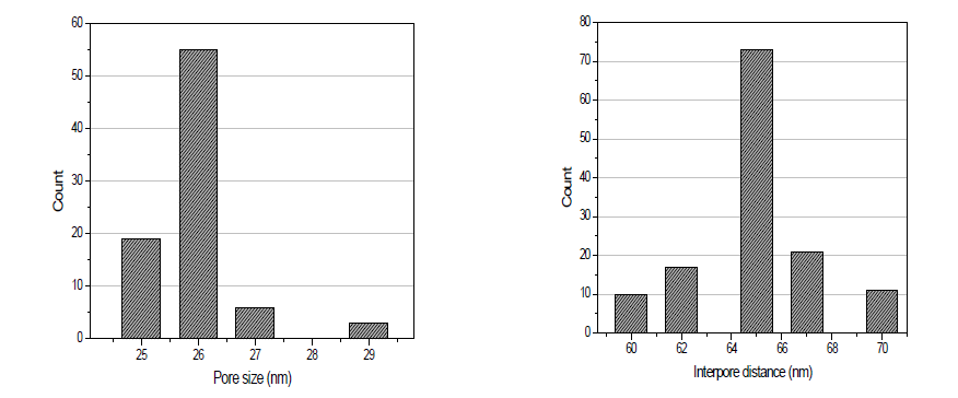 Sulfuric acid 25V 전기산화 된 AAO membrane의 기공크기(좌) 및 기공 간의 거리(우)