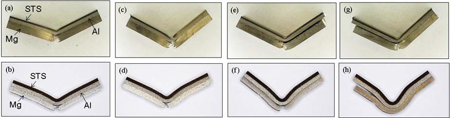 굽힘조건A 에서 2.3Mg/Al/STS클래드재 (a, c, e, g)와 1.6Mg/Al/STS (b, d, f, h)클래드재의 굽힘후모습 압연된 (a, b)초기시편, (c, d)200℃ 1시간, (e, f)300℃1시간, (g, h)400℃ 1시간