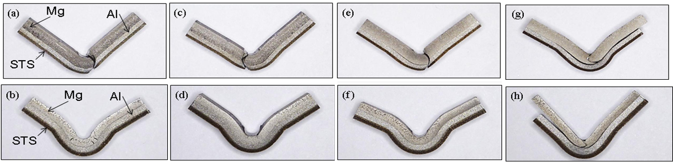 굽힘조건B 에서 2.3Mg/Al/STS클래드재 (a, c, e, g)와 1.6Mg/Al/STS (b, d, f, h)클래드재의 굽힘후모습 압연된 (a, b)초기시편, (c, d)200℃ 1시간, (e, f)300℃1시간, (g, h)400℃ 1시간