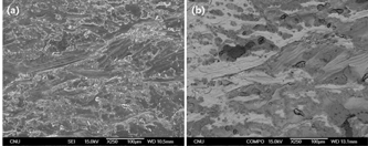 SEM images of fracture surface of Cu-Cr side at 450℃ for 1.5hrs (reduction ratio 68.1%) SEM Image (a), COMPO image (b).