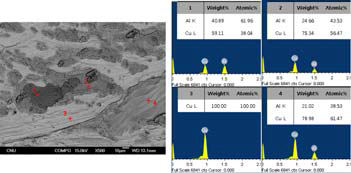 EDS of fracture surface of Cu-Cr side at 450℃ for 1.5hrs (reduction ratio 68.1%).