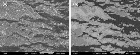 SEM images of fracture surface of Al-Fe side at 450℃ for 1.5hrs (reduction ratio 68.1%) SEM Image (a), COMPO image (b).