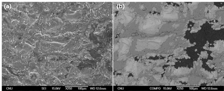 SEM images of fracture surface of Al-Fe side at 450℃ for 1.5hrs (reduction ratio 74.4%) SEM Image (a), COMPO image (b).