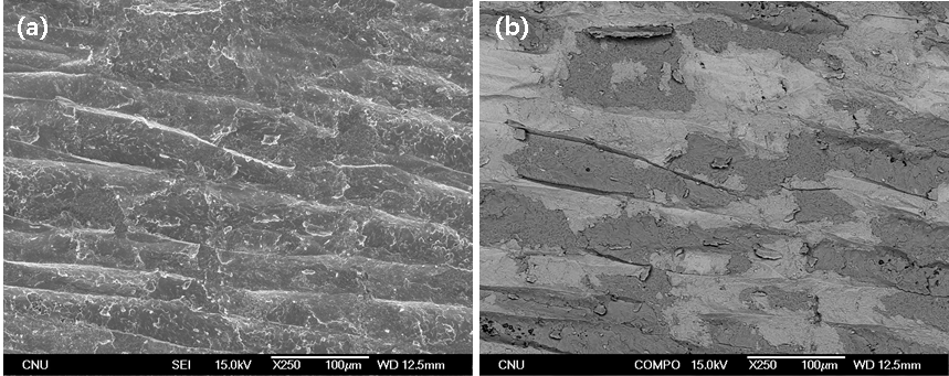 SEM images of fracture surface of Al-Fe side at 500℃ for 3hrs (reduction ratio 74.4%) SEM Image (a), COMPO image (b).