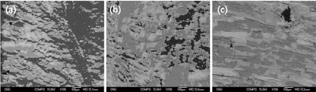 COMPO images of fracture surface of Al-Fe side at 450℃ for 1.5hrs (reduction ratio 68.1%) (a), 450℃ for 1.5hrs (reduction ratio 74.4%) (b), 500℃ for 3hrs (reduction ratio 74.4%) (c)