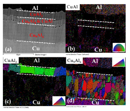 500℃ 10시간 열처리된 Cu/Al/Cu 접합소재 계면의 EBSD 사진