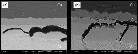 Cu/Al/Cu 하이브리드 합금의 금속간화합물에서 발생한 균열전파 (a)450℃ (b)500℃