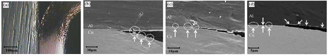 상온에서 접합된 Cu/Al/Cu 하이브리드 금속의 상온 peel test 시의 옆면을 입체현미경으로 찍은 사진 및 균열 tip부위를 SEM으로 찍은 사진