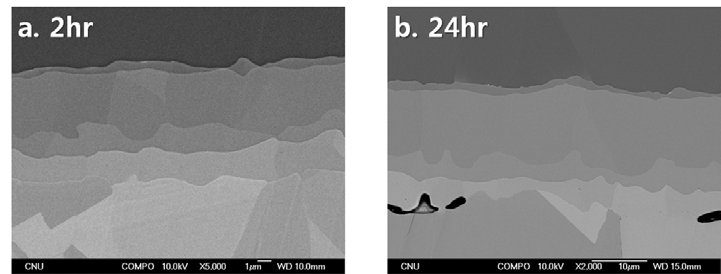 800℃에서 a. 2시간 열처리한 시편과 b. 24시간 열처리한 시편의 SEM 이미지.