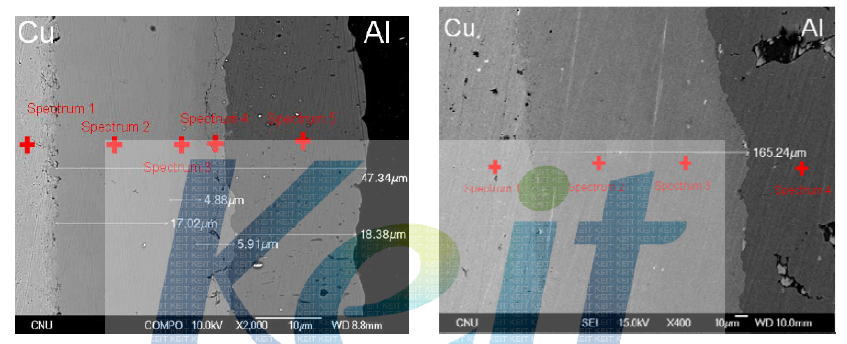 확산접합법을 이용하여 540℃ 10h 및 560℃ 24h 접합한 Cu/Al 하이브리드 합금의 접합 계면의 SEM 이미지 및 EDS 분석