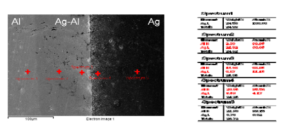 확산접합법(530℃에서 3시간)으로 접합한 Cu/Ag/Al의 접합계면 SEM 이미지 및 EDS 분석