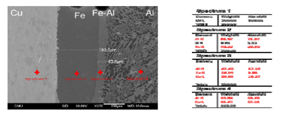 확산접합법(560℃에서 24시간)으로 접합한 Cu/Fe/Al의 접합계면 SEM 이미지 및 EDS 분석