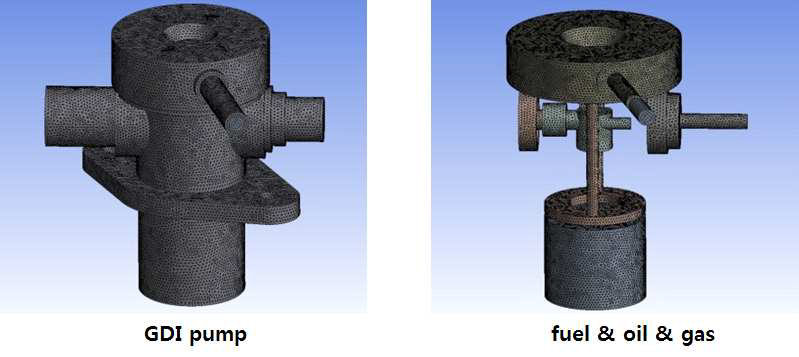 3차년도 해석 GDI 펌프 해석 격자