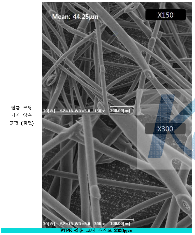 SEM Images : PTFE 필름 코팅 부직포 (2000gsm) 뒷면