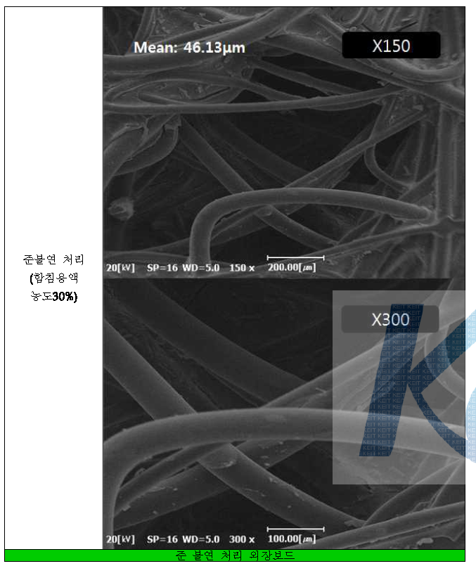 SEM Images : 준불연 처리(함침용액 농도 30%) 외장 보드